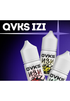 Ароматизатор QVKS ИЗИ, изображение 1